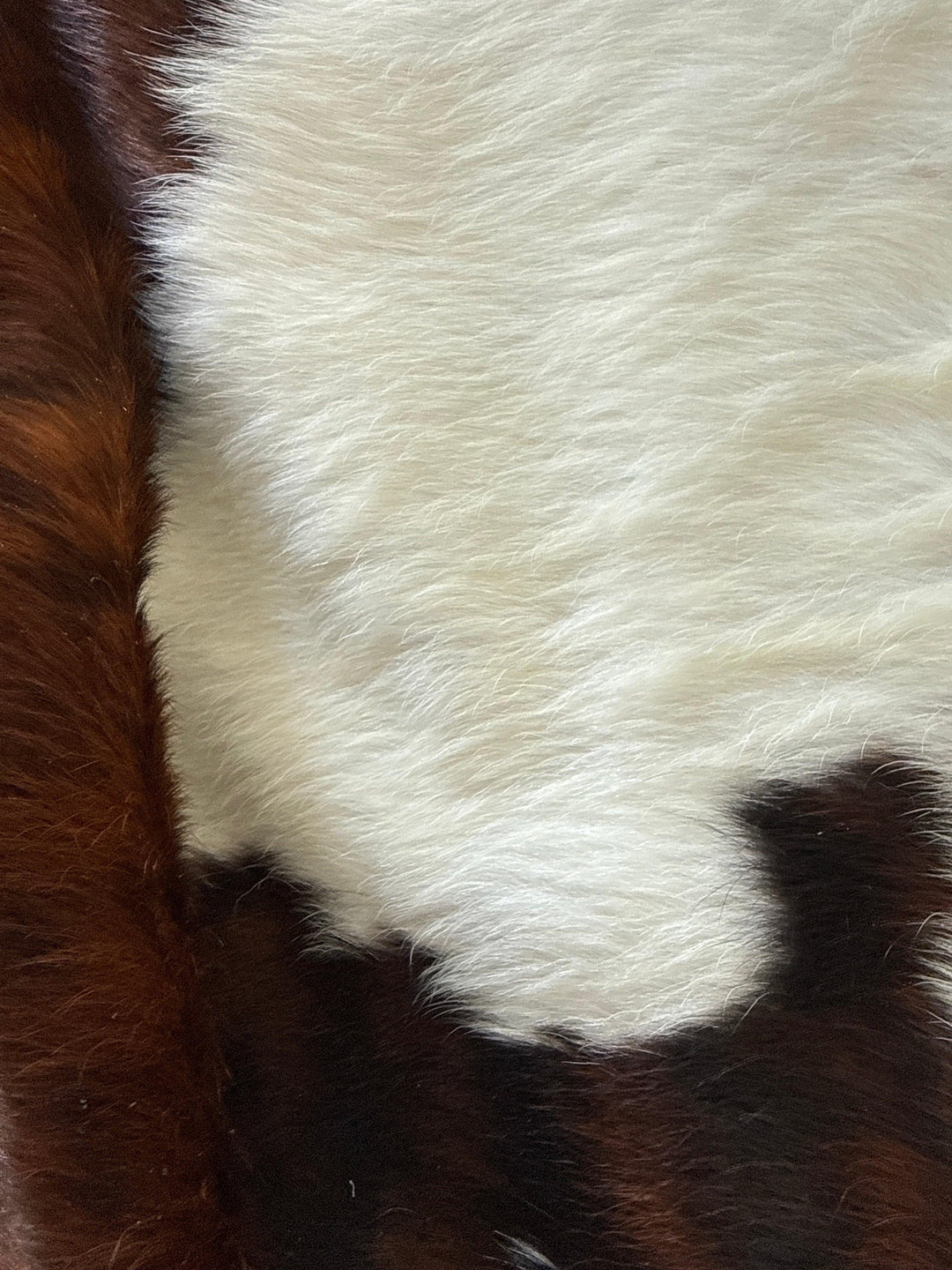 Premium Cowhide Rug by Cowhide Rugs London, natural cowhide with distinctive pattern, 205cm x 185cm, high-quality and stylish.