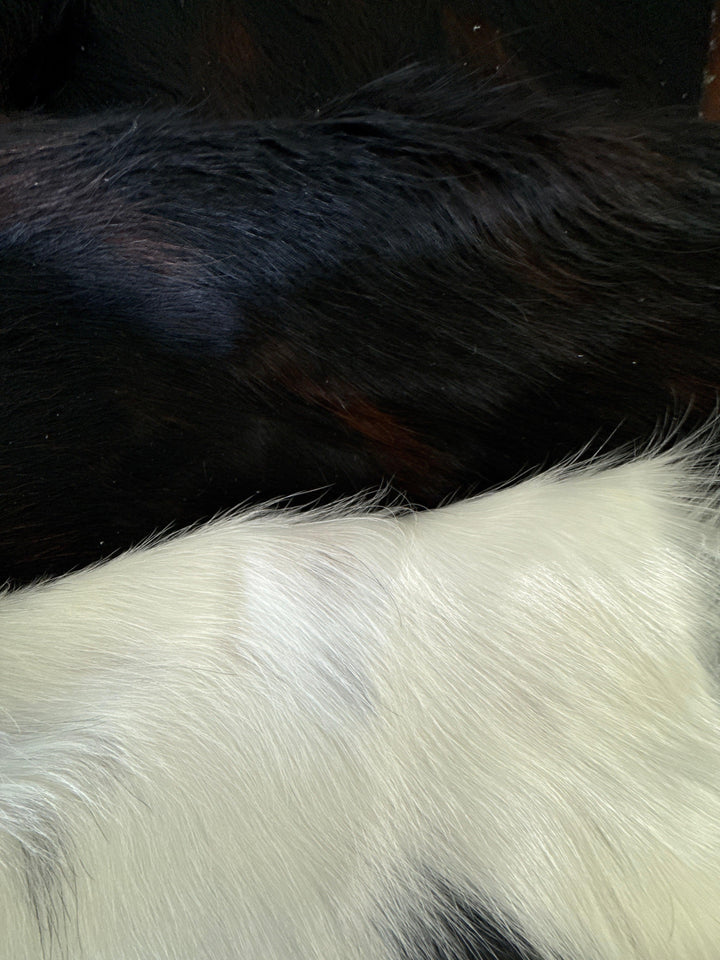 Premium Cowhide Rug by Cowhide Rugs London, natural cowhide with a distinctive pattern, measuring 199cm by 170cm.