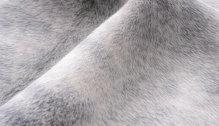 Premium cowhide rug from Cowhide Rugs London, large XXL size 245cm x 212cm, natural cowhide pattern, over £200 collection.