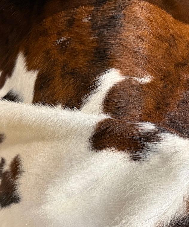 Premium cowhide rug by Cowhide Rugs London, XXL size 247cm x 214cm, natural cowhide with distinctive pattern and texture.