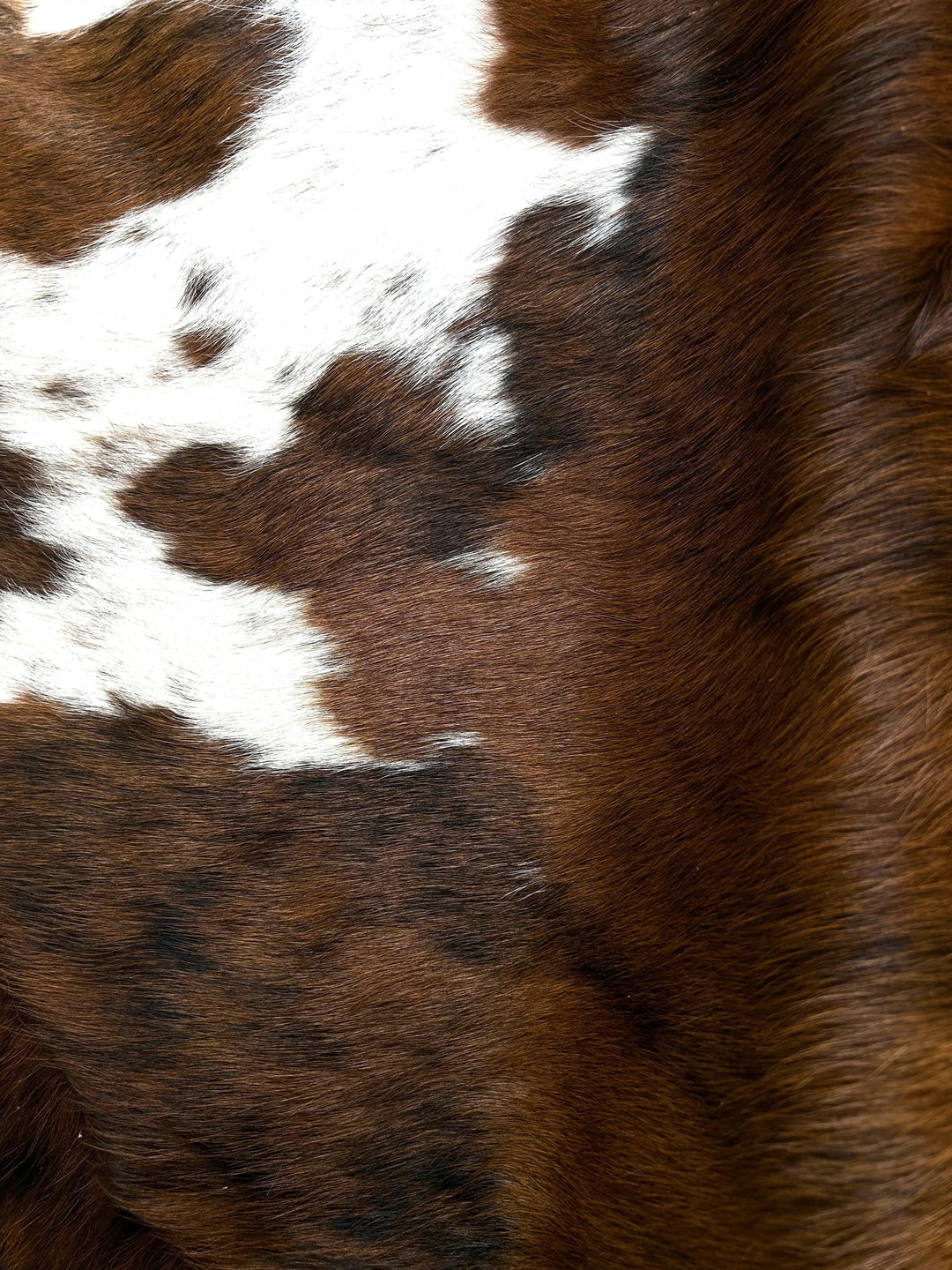 Small Cowhide Rug from Cowhide Rugs London, measuring 1.83m x 1.68m, showcasing natural cowhide with unique pattern and texture.