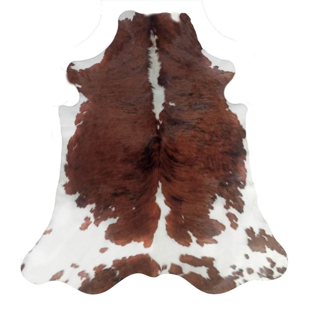 Large premium cowhide rug from Cowhide Rugs London, natural cowhide with unique markings, measuring 237cm by 195cm.