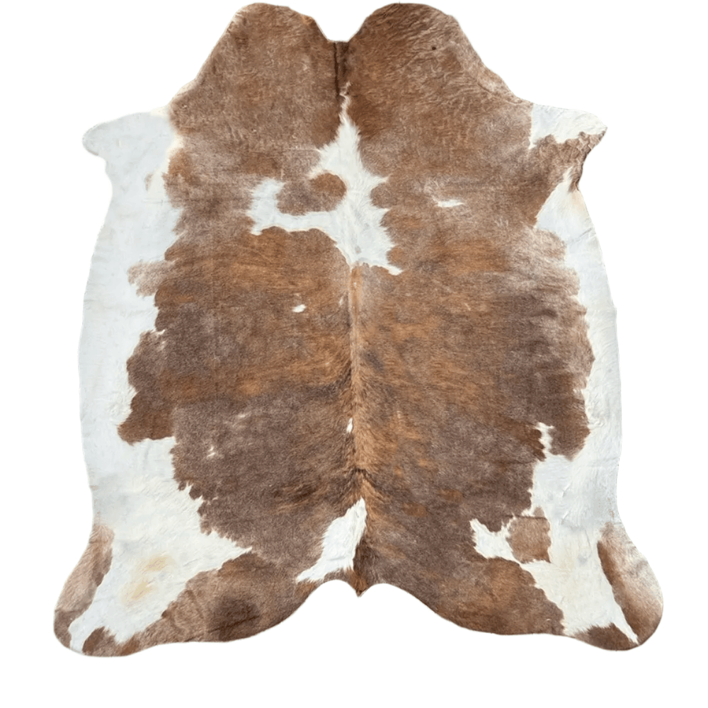 Large premium cowhide rug by Cowhide Rugs London, measuring 240cm by 210cm, with natural cowhide pattern and texture.