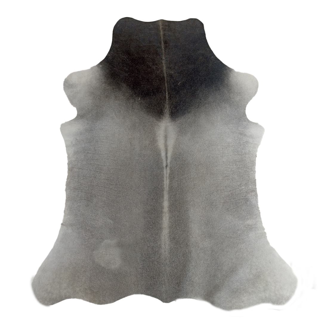 A natural cowhide rug with a gradient transition from a dark black top section to a lighter gray body, shown flat against a solid white background.